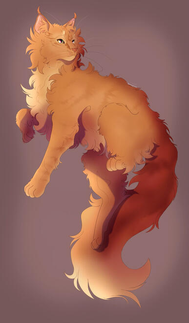 Little Lion Little Lion