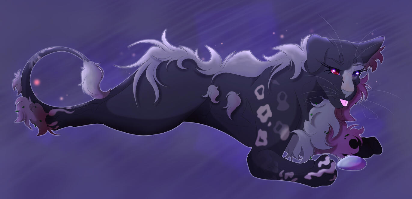 Purple Comfort Purple Comfort